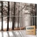 HONORIA 8 Pack Art Acoustic Panels 48X32Inches Sound Absorbing Panels,Self-adhesive Soundproof Wall Panels,Decorative Acoustical Wall Panels,Acoustic Treatment for Home Office&Recording Studio