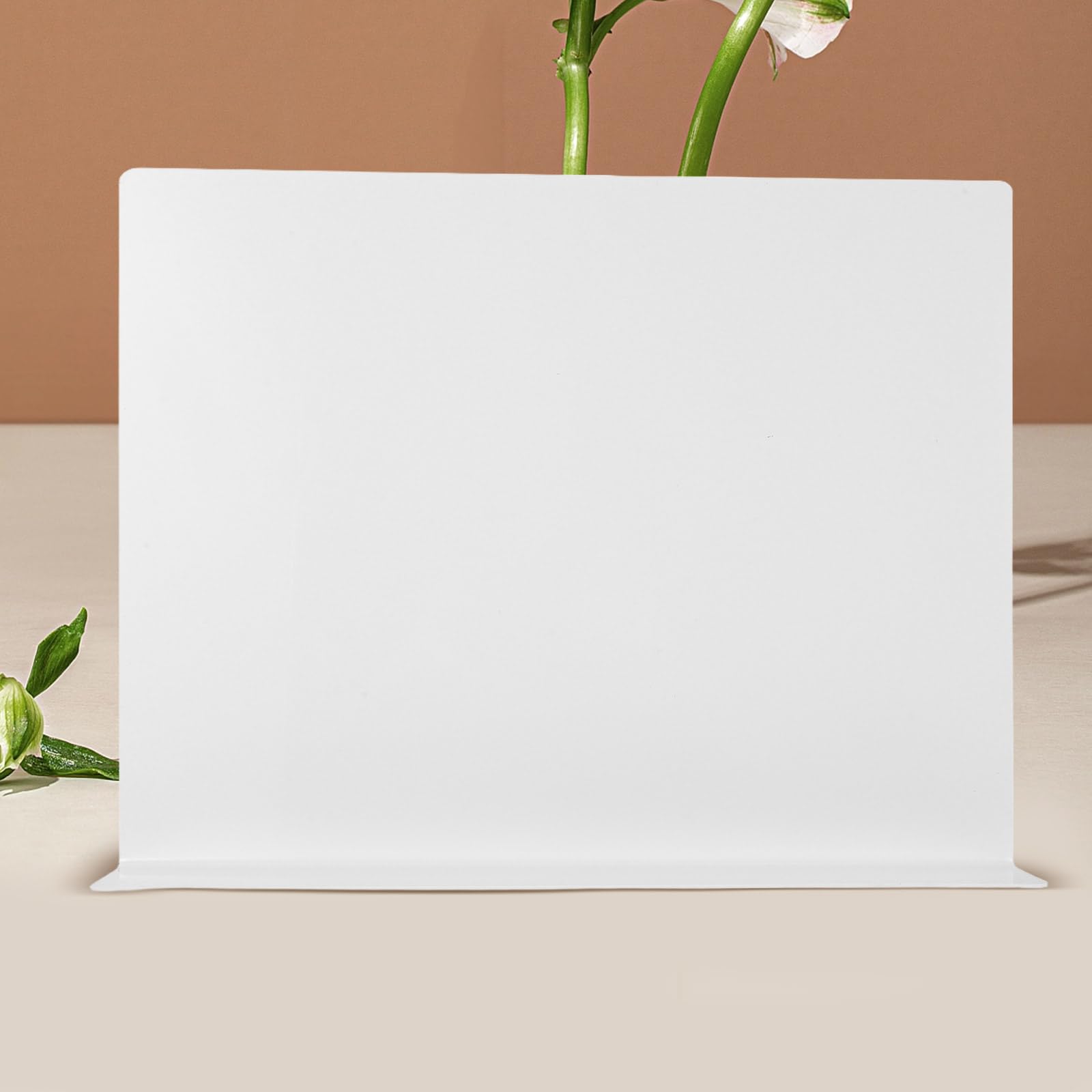 SHINEOFI Protezione Igienico e Facile da Pulire Anti-Schizzi in Acrilico Bianco para Schizzi da Cucina per Lavello e Lavabo per Bagno e