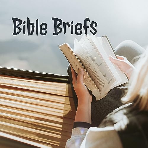 Bible Briefs cover art