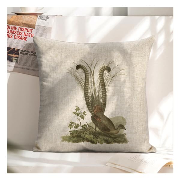 Icotoibabie Linen Throw Pillow Covers 18x18 Long Tail Pheasant Double Sided Decorative Pillowcase Birds Pillow Cases Couch for Car Sofa Bedroom Living