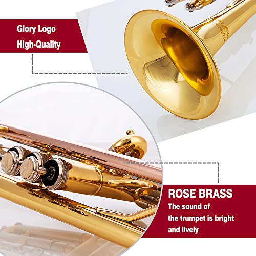 glory bb trumpet - trumpets for beginner or advanced student with case pair of gloves-gold
