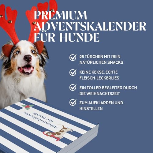 Wild&Seed Adventskalender für Hunde 25 natürliche Hundesnacks & Premium Leckerlis zu Weihnachten Getreidefrei, ohne Zusätze, hypoallergen Adventskalender Hund groß & klein, 1 Stück