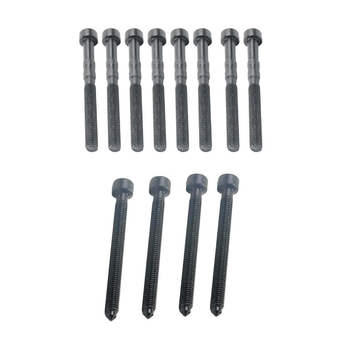Kit albero a camme completo Bisenya compatibile 1.9 2.0 TDI BRS BXE BLS BMM