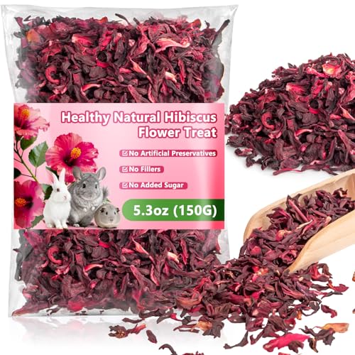 RAINFLOW Dried Hibiscus Flower Treats