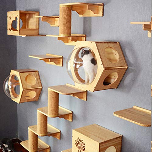 Support d'escalade mural chat en bois massif avec capsule spatiale haut de gamme