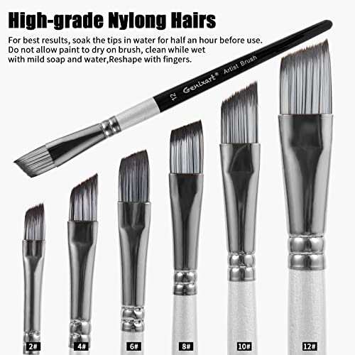 Angular Paint Brushes Set, 6 Pcs Angled Paintbrushes For Acrylic Oil Watercolor Gouache Painting, Premium Nylon Hair Angle Shader Brush For Art Beginners And Artist Professionals #TOP2