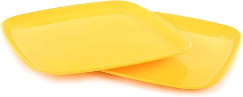 Miniatura 35 de Mintra Home - Platos reutilizables para servir (verde azulado, cuadrado, 2 unidades (14 pulgadas)