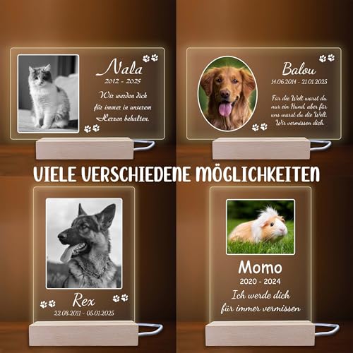 INDIGOS UG - LED Lampe personalisiert - Gedenktafel - hoch, Bild groß - Haustier, Hund, Katze - Wunschbild, Wunschtext - personalisierte Lampe - Geschenk, Familie - optionale Lampe warmweiß