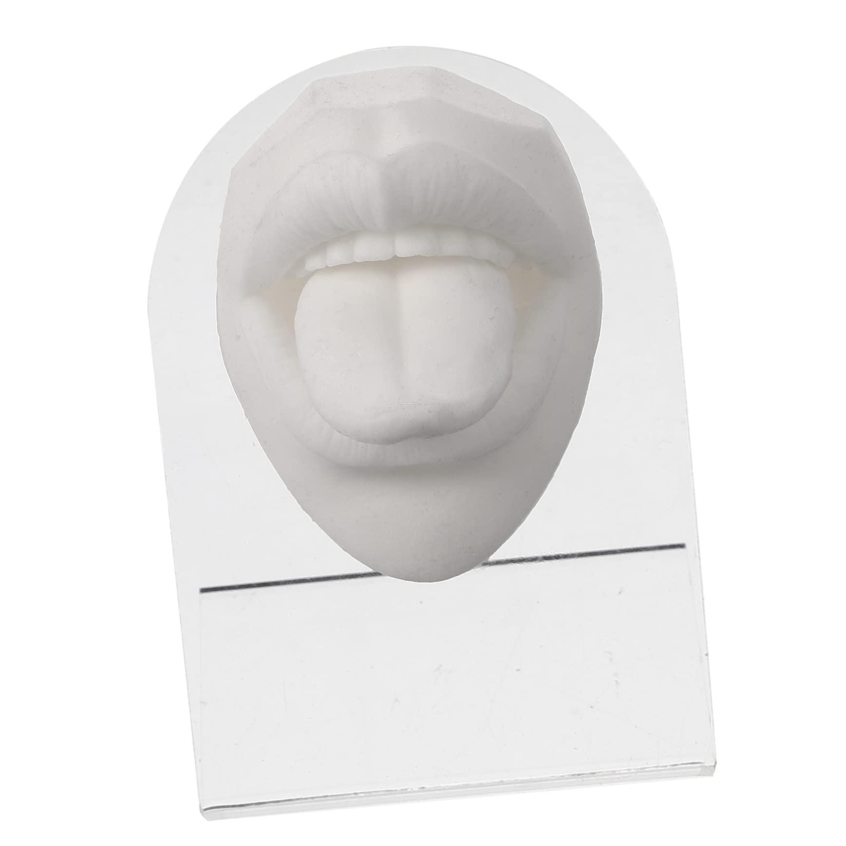 Healeved 2sets Facciali Silicone Per Piercing Lingua Esercizi Simulazione Facile Usare Superficie e Flessibile Per Dimostrazioni Piercing
