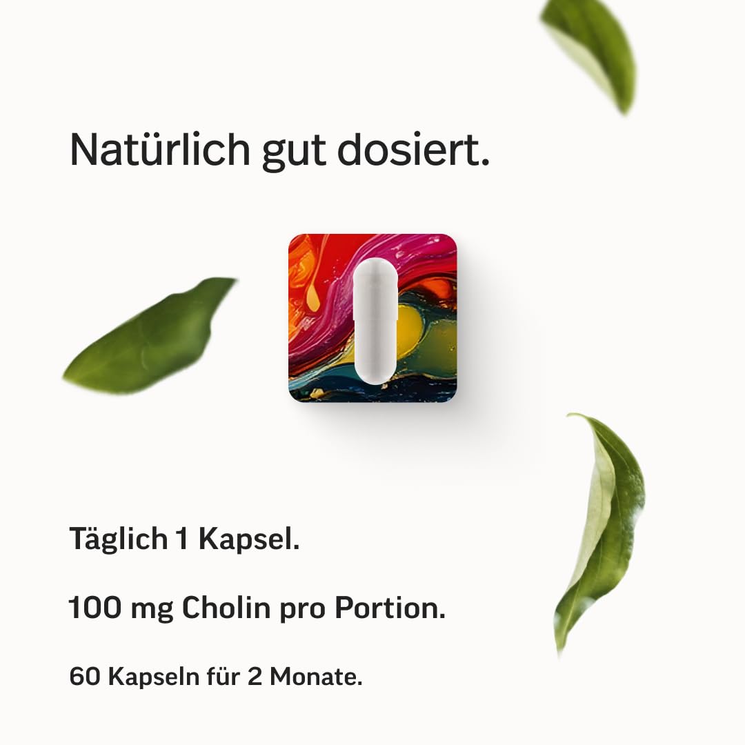 edubily® Cholin - 500mg CDP-Cholin von Cognizin® pro Kapsel - hohe Bioverfügbarkeit - Laborgeprüft - Im Braunglas (60 Kapseln)