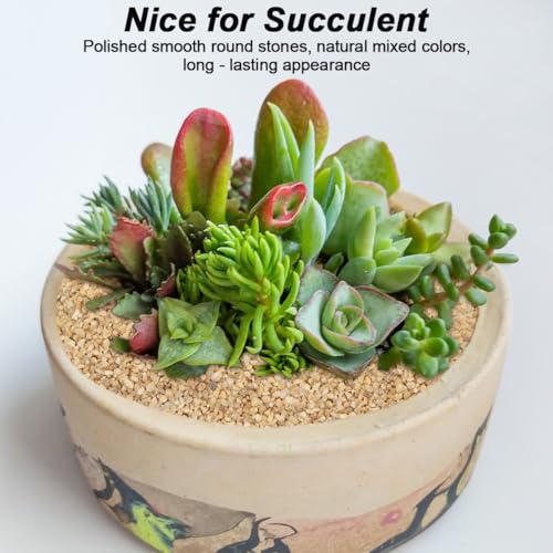 Image of Beige River Rocks, Landscaping Pebbles, Succulent & Cactus Gravel | Decorative Ornamental Stones, Gravel Filler For Flower Bed, Fish Tank, Vases, Plants, Home And Garden Decoration