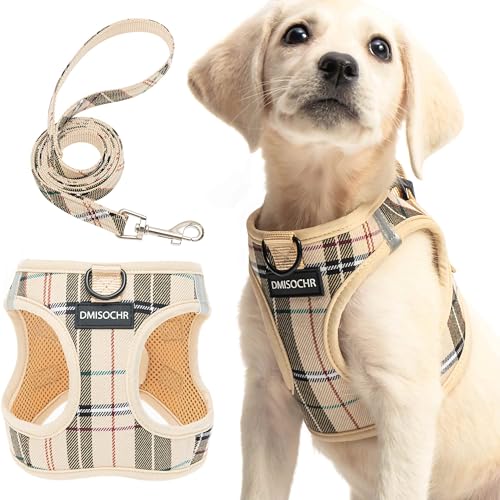 Escape-Proof Small Dog Harness - No-Choke Step-in Mesh Vest with 360° Reflective Strips, Soft Padded Breathable Harness for Anxious Dogs, Puppies & Active Breeds, Fits Corgi, Pug, Frenchie M