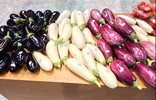Seeds4Planting - Seeds Eggplant Aubergine Long Mix Rare Thai Heirloom Vegetable Non Gmo #TOP5