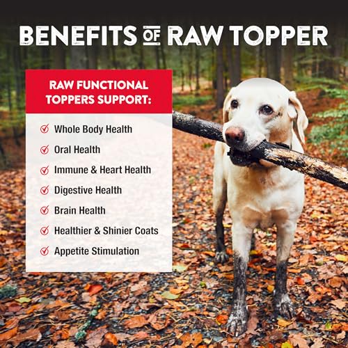 Image of Northwest Naturals Freeze-Dried Beef Blood Functional Topper - for Dogs & Cats - Healthy, 1 Ingredient, Human Grade Ingredients, All Natural, Proudly Made in USA, 3.5 Oz (Pack of 2)