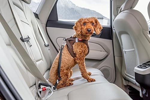 Car Safety Belt V2 S