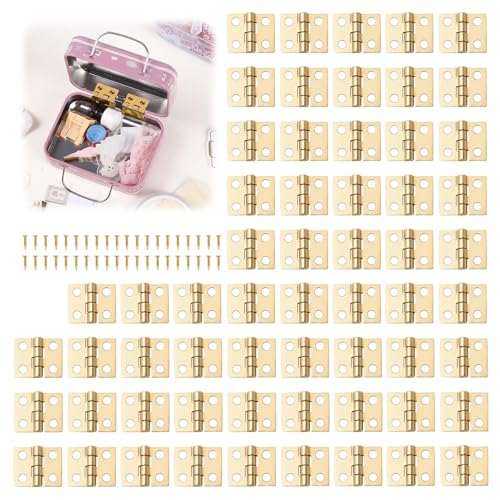 Stalora 60pcs Mini Charnières en Laiton pour Modélisme, avec 240 visBoîtes, Bijoux, Meubles - Charnières Cachées et Petites avec Vis, Idéal pour Maison et Placard