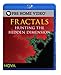 Produktbild Fractals: Hunting the Hidden Dimension [Blu-ray] [Import]