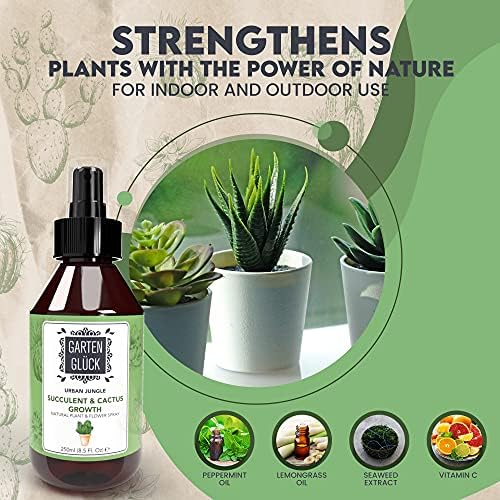 Garten Glück Succulent Plant Feed & Cactus Food - Cactus Feed: Ideal Indoor Plant Food & Plant Fertiliser for Cactus Soil, Succulent Plant Pot for Cacti & Succulent Plants, Succulent Soil, 250ml