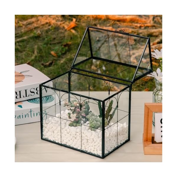 75-x-49-x-9-Glass-Geometric-Plant-Terrarium-Indoor-Tabletop-Centerpiece-Display-Box-Modern-Decor-DIY-Gift-Plant-Terrarium-Container-for-Home-Garden-Office-Decoration 75-x-49-x-9-Glass-Geometric-Plant-Terrarium-Indoor-Tabletop-Centerpiece-Display-Box-Modern-Decor-DIY-Gift-Plant-Terrarium-Container-for-Home-Garden-Office-Decoration