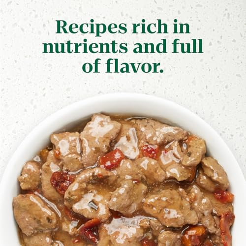 Nutro Ultra Filets in Gravy Wet Dog Food, Tender Beef, 3.5 oz, 24 Count - image 4