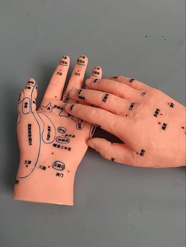 Miniatura 4 de Reflex Zone - Juego de modelos de masaje, no modelo de acupuntura, modelo de masaje de orejas y manos de pies, modelo de masaje en idioma chino