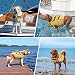 Kuoser Schwimmweste Hund, Haltbarkeit Hundeschwimmweste, Hervorragender Auftrieb Schwimmweste Hund klein groß mittel,Hohe Sicherheit hundeschwimmweste große Hunde Gelb S