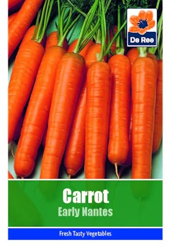 Carrot Early Nantes Seeds - 1415 Seeds Vegetable Grow Your Own Garden Salad Herb Vegetable Seed