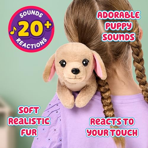 Little Live Pets My Really Real Puppy Minis – Buddy der Labrador, interaktiver Puppy mit 20+ Geräuschen und Reaktionen, inklusive Korb zum Präsentieren, niedliches Geschenk für Kinder (11 cm groß)