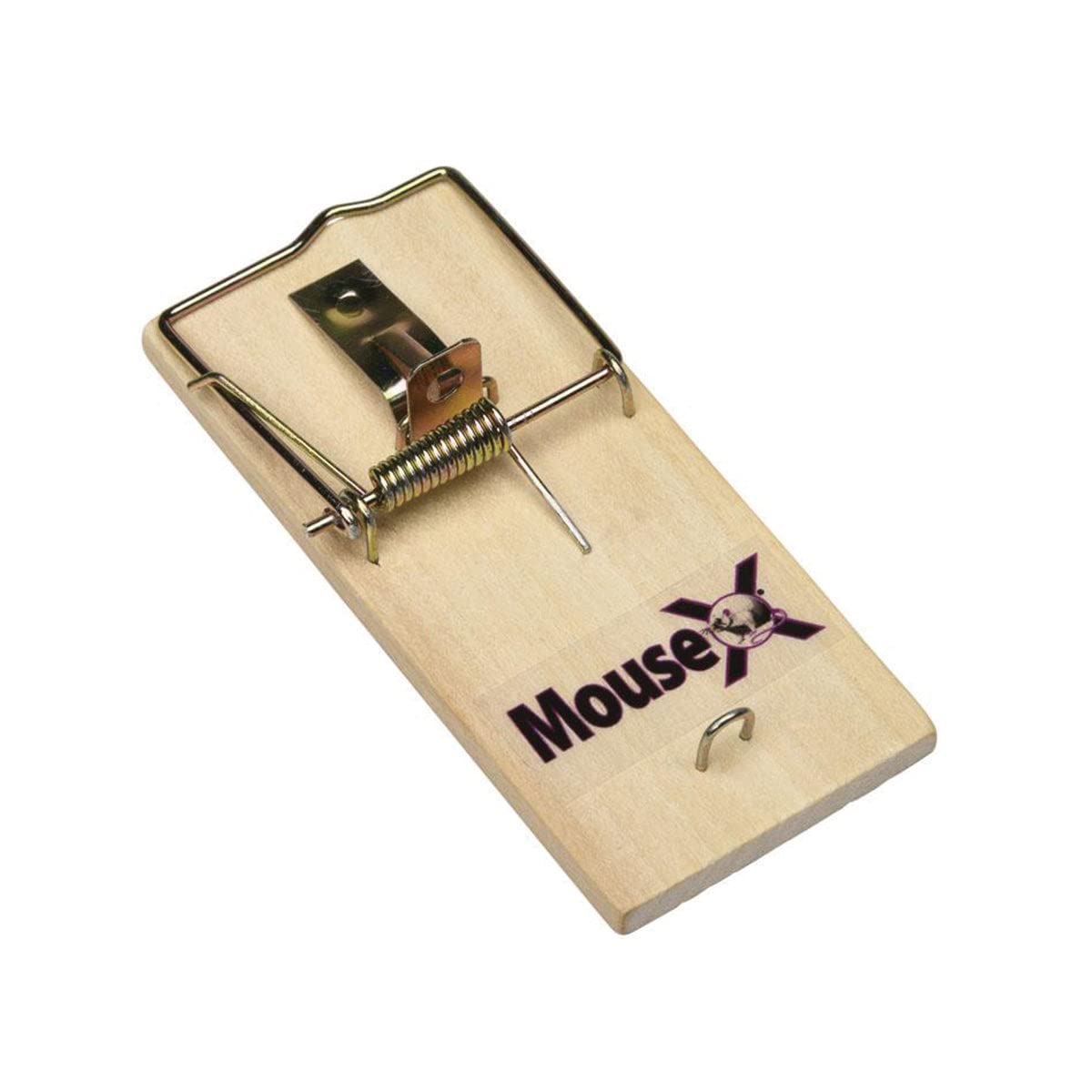 MouseX Wood Traps (Pack of 48) for Rats, Mice & Rodents. EcoClear Products 620306