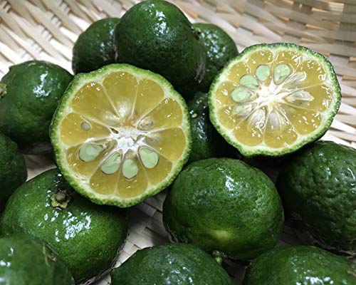 ؂V[N[T[ Q@ꌧYiƂĂ_j