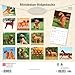 Rhodesian Ridgebacks | 2026 12 x 24 Inch (Hanging) Monthly Square Wall Calendar | Plastic-Free | BrownTrout | Animals Dog Breeds