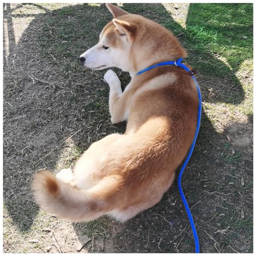 MayPaw Slip Lead Control Leash for Dogs No Pull, 13+ Colors Classic 7 FT Pet Dog Slip Leash, 1/4” Rope Leashes for Small Medium Animals (7ft*1/4", Dark Blue) - Image 6
