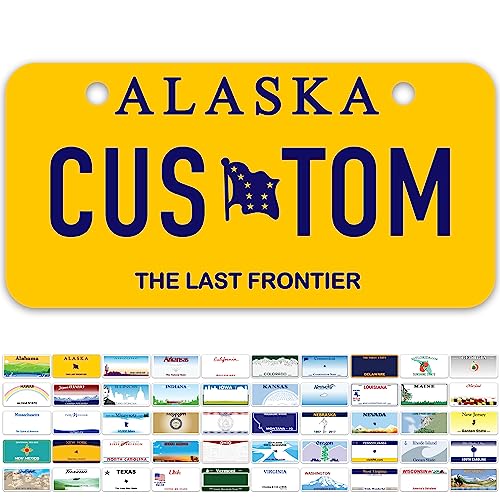 Mini Custom License Plate 2x4 Aluminum USA Made