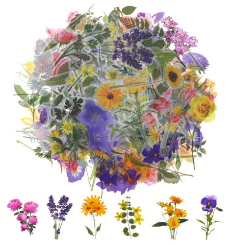Natur Garten Sticker Set – Florale Aufkleber Für Journal, Planer & Basteln (2 Bögen)