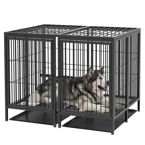 BingoPaw Hundekäfig XXXL Schwerlast Hundebox: 2 in 1 Doppelbox Hundegitterbox mit Trennwand, 2 Türen und Tablett, Haustierkäfig Outdoor Indoor für große mittelgrosse Hunde 130x100x100 cm