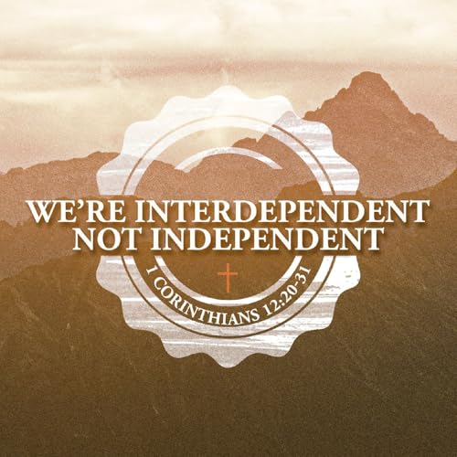 Page de couverture de We’re Interdependent not Independent