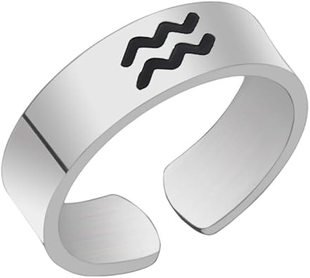 JINGMARUO Zodiac Sign Adjustable Rings Stainless Steel Engraved Astrology Ring Constellation Ring Horoscope Ring Birthday Gift