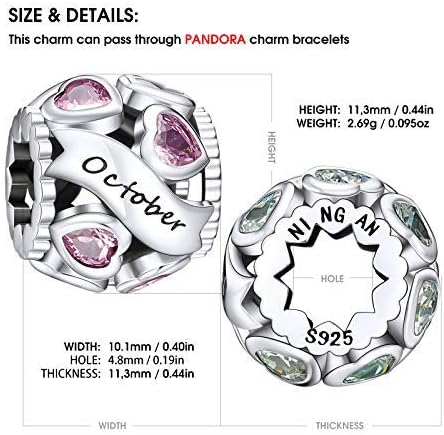 NINGAN Birthstone Charms 925 Sterling Silver Love Heart Openwork Bead for Charm Bracelets and Necklaces with 5A Cubic Zirconia, Birthday Mothers Day Jewelry Gifts Women - Image 2