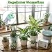 Imagen de Gaethra Sistema de Riego Automático WiFi para Plantas de Interior