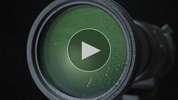 SIGMA 150-600mm Sports 大セール‼️ Amazon.com : Sigma 150-600mm f/5-6.3 DG DN OS Sports Zoom