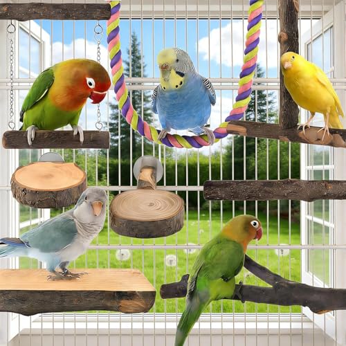 Perchoir pour oiseaux : 8 branches d'exercice de cage pour perruche, calopsitte et conure
