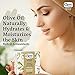 CLERE Natural Olive Oil Soap Bar – Handmade with 100% Natural Ingredients Gentle & Fragrance-Free, 200 Grams - Pack of 6