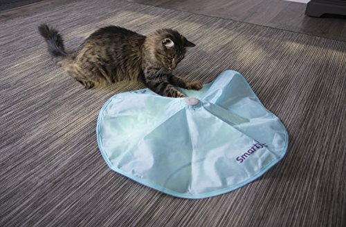 SmartyKat Hot Pursuit Cat Toy - Image 6