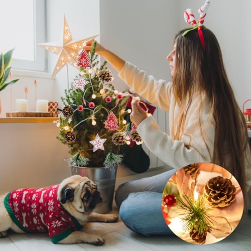 Christmas Garland with Lights 9.8FT 30 LED Christmas Pine Cones String Lights Red Berry Fairy Lights Wreath Light Up Christmas Decorations Battery Operated for Xmas Indoor Outdoor Decor - Image 8