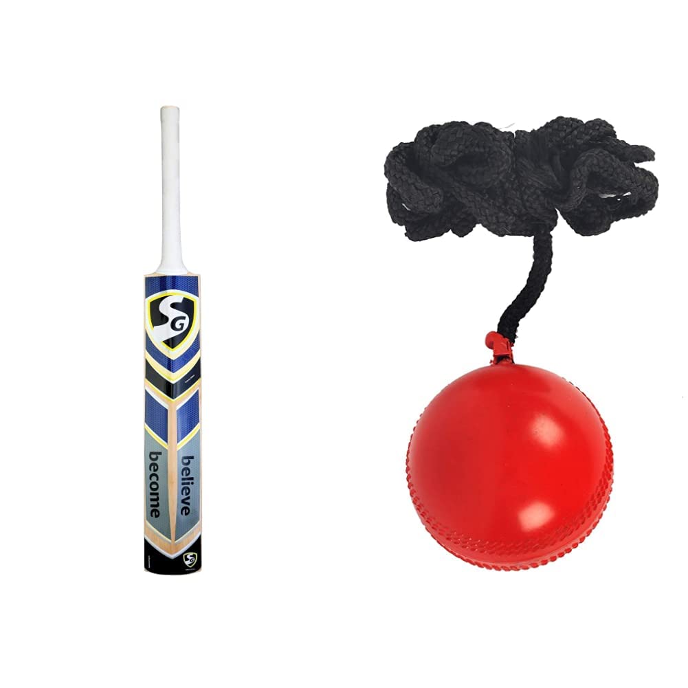 SG Sierra Plus Kashmir Willow Cricket Bat (Size: Short Handle,Leather Ball) & SG iball with Cord, Adult (B08ZN4RYL2) Amazon Price History, Amazon Price Tracker