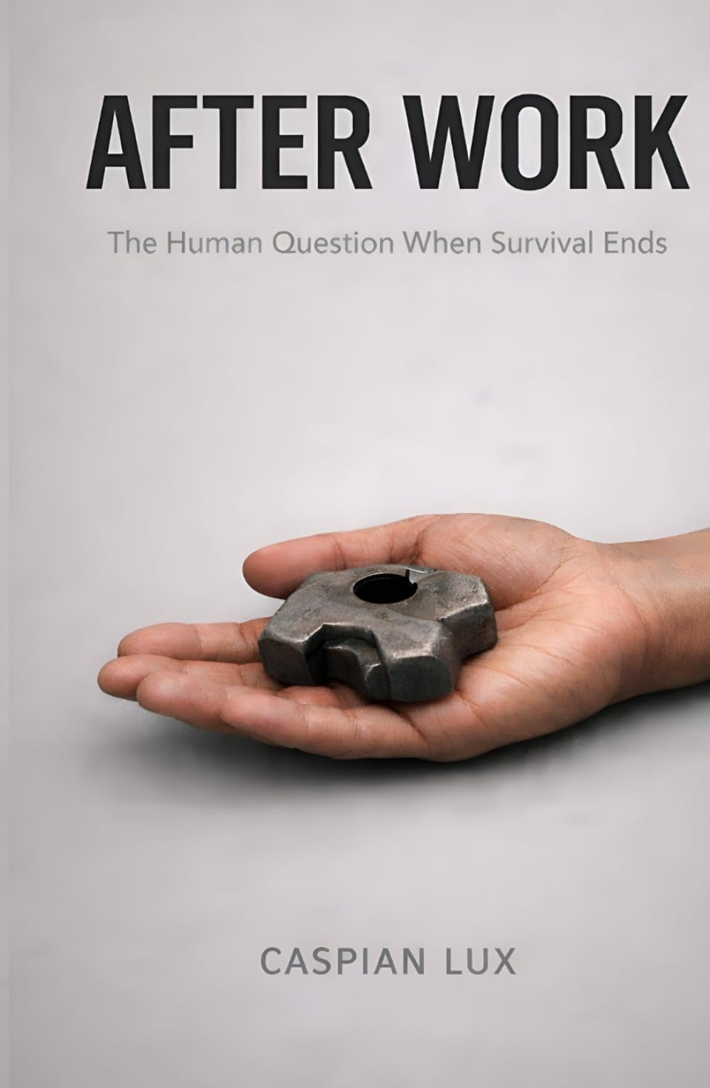 After Work: The Human Question When Survival Ends (Cognitive Advantage Series)