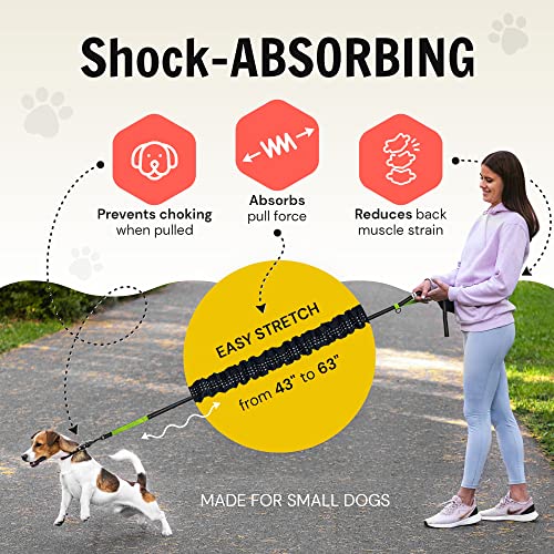 Hundefreund Hands Free Dog Leash For Small Dogs - Lightweight Waist Leash For Running Walking Hiking With Dogs Under 30 Lbs - Adjustable Waist Belt, Pouch, Reflective Retractable Bungee, Dual Handles #TOP4