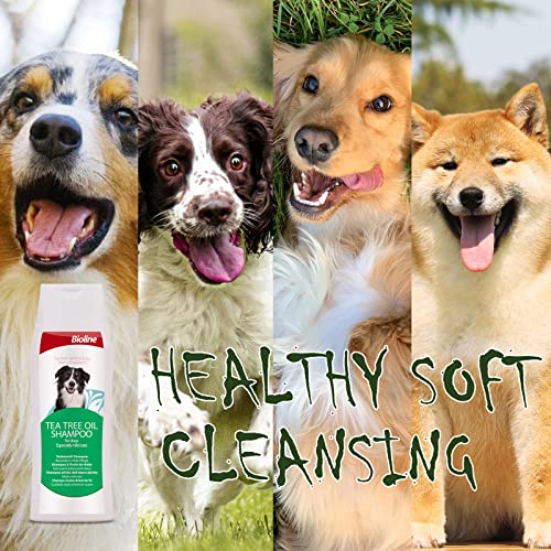 Bioline Dog Shampoo with Tea Tree Oil for Dogs Itchy Skin Sensitive Skin Shampoo for Smelly Dogs Bathing Supplies Odor… - Image 4