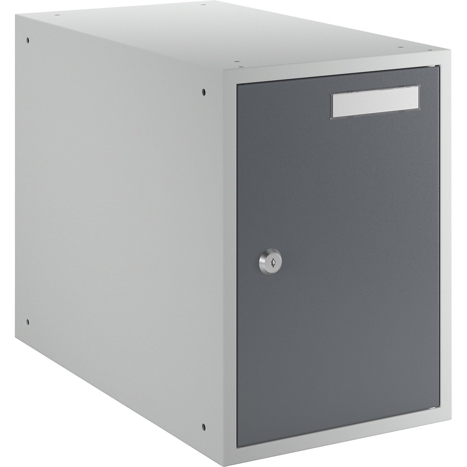 Casier verrouillable 350 x 250 x 450 mm porte en tôle pleine gris clair/gris basalte
