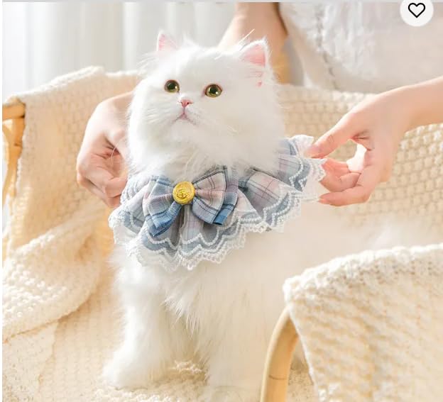 PSK PET MART Cat Lace Scarf Saliva Towel Pet Cat Princess Scarf Bib Decorations Cat Collar 1 Pcs small size Color multicolor